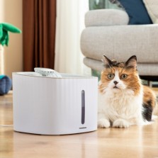 Fonte para animais de estimação